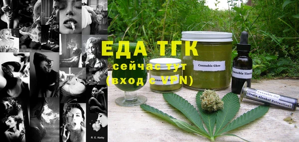 гашик Новокубанск