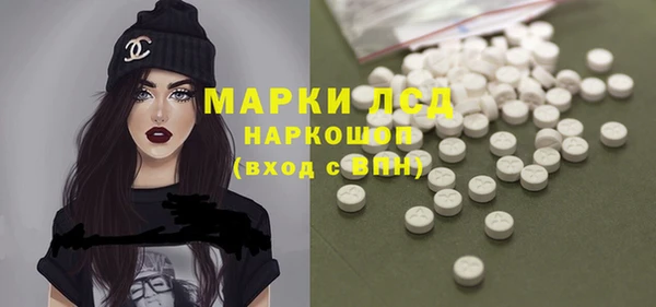 гашик Новокубанск