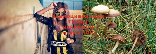 гашик Новокубанск