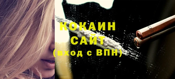 гашик Новокубанск