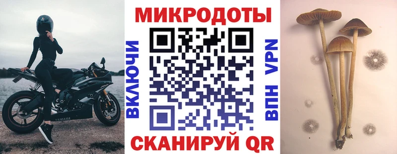 где найти Отрадный Галлюциногенные грибы мицелий